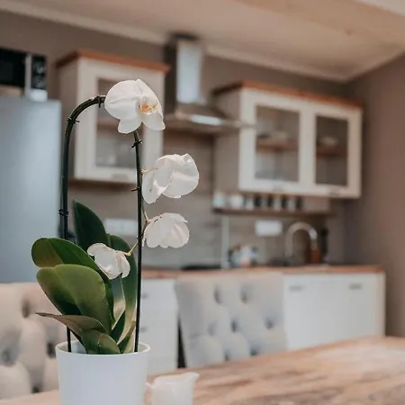 An Der Elbe Hamburg Tespe