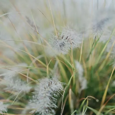 アパート An Der Elbe Hamburg Tespe