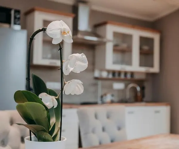 An Der Elbe Hamburg Tespe