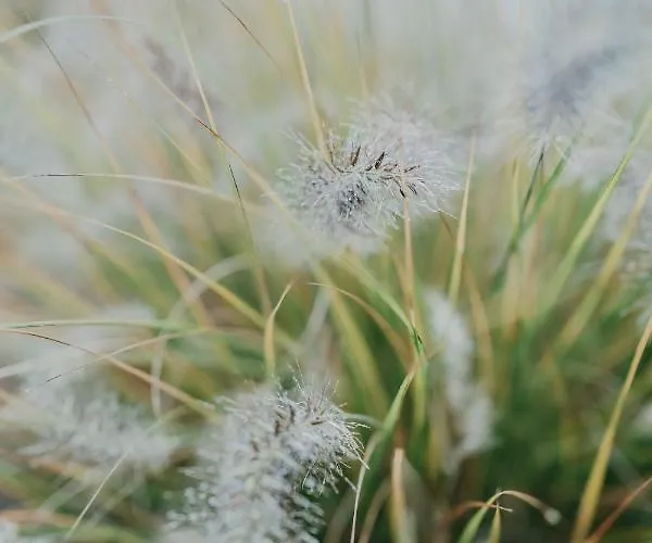 Appartamento An Der Elbe Hamburg Tespe