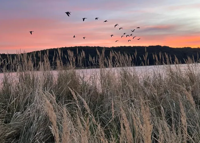 Appartamento An Der Elbe Hamburg *