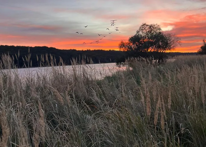 An Der Elbe Hamburg Appartamento Tespe
